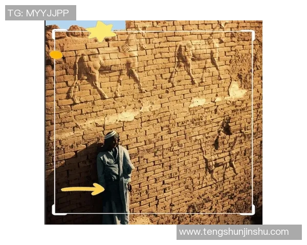 探索阿辛芬瓦的神秘魅力与文化底蕴，揭开这座城市的历史面纱与未来展望