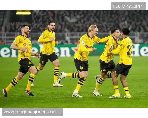 多特蒙德与比勒菲尔德精彩对决直播全程回顾与分析